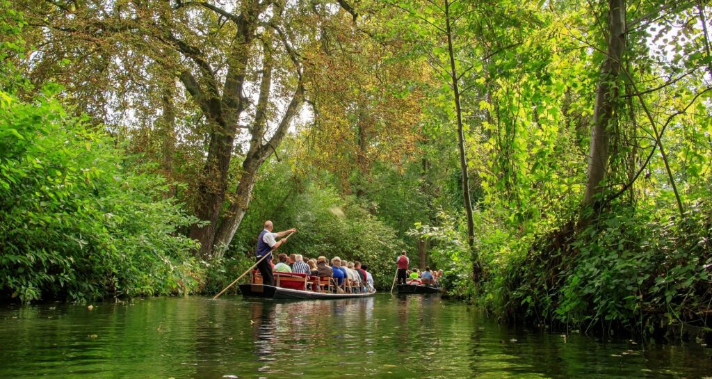 Spreewald Sommer